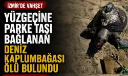 İzmir’de yüzgecine parke taşı bağlanan kaplumbağa ölü bulundu