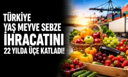 Türkiye yaş meyve sebze ihracatını 22 yılda üçe katladı, 3,7 milyon tona yaklaştı