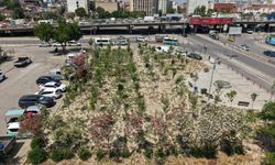İzmir Kemer’de eski benzinlik yeşile döndü: 127 ağaç dikildi