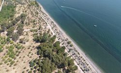 İnciraltı Kent Ormanı yenileniyor: Mangal yasak, gece girişi yok