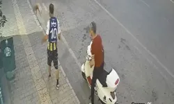 Kediye tekme attı, sosyal medya ayağa kalktı: Hakimlikten tutuklama kararı!