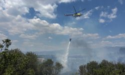 İzmir’de zeytinliğe sıçrayan yangın kontrol altına alındı: 2 kişi gözaltında