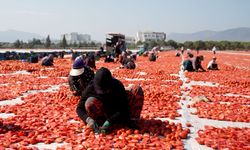 Kurutulmuş domates 91 ülkeye ulaştı, hedef 100 milyon dolar