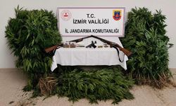 Ödemiş’te ormana kenevir eken şüpheli fotokapana yakalandı