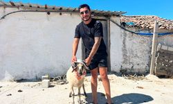 Ehliyetine yeniden kavuşan galerici kurban keserek kutladı