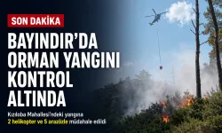 Bayındır’da orman yangını kontrol altına alındı
