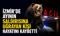 İzmir'de ayının saldırısına uğrayan kişi hayatını kaybetti