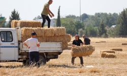 Buca Belediyesi’nden hayvancılığa can suyu: Hasattan kalan saman üreticiye ulaştı