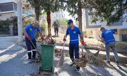 Çalışmalar 47 mahallede sürüyor... Buca'da yaz temizliği!