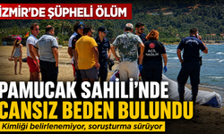 İzmir'de şüpheli ölüm: Pamucak Sahili’ne vuran kişinin kimliği araştırılıyor