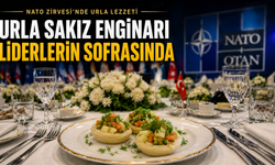 Urla sakız enginarı NATO Zirvesi’nde liderlerin sofrasına girdi