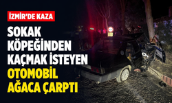 İzmir'de feci kaza: Sokak köpeğinden kaçmak isteyen otomobil ağaca çarptı!