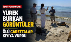 İzmir ve Aydın'dan yürek burkan görüntüler: Ölü carettalar kıyıya vurdu