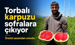 Torbalı karpuzu sofralara çıkıyor: Üretici sezondan umutlu
