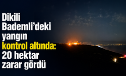 Dikili Bademli’deki yangın kontrol altında: 20 hektar zarar gördü