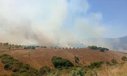 İzmir'de korkutan yangın: Tarım arazisinden yükselen alevler kontrol altına alındı