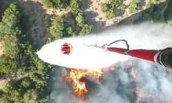 Menemen'de orman yangını: 6 uçak ve 4 helikopter sevk edildi