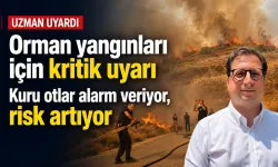 Orman yangınları için kritik uyarı: Kuru otlar alarm veriyor, risk artıyor