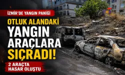İzmir’de otluk alanda çıkan yangın 2 araca zarar verdi