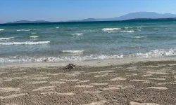 Çeşme’de 80 yaşındaki kadın denizde hayatını kaybetti