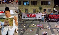 İzmir'de Hayvan Hakları Platformundan sert çıkış: "Biz vergilerimizi hayvanların katledilmesi için vermiyoruz"