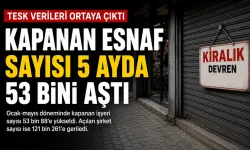 TESK verileri yayımladı: 5 ayda 53 binden fazla işyeri kapandı