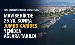İzmir Körfezi’nde dikkat çeken değişim: 25 yıl sonra jumbo karides ağlara takıldı