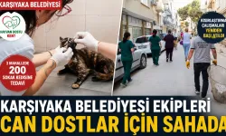 Karşıyaka Belediyesi sahipsiz hayvanlar için sahaya indi