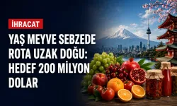 Yaş meyve sebzede rota Uzak Doğu: Hedef 200 milyon dolar