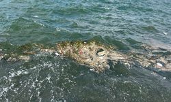 İzmir Körfezi’ne vandallık!