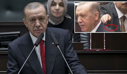 Erdoğan'ın omzuna arı kondu: Korumadan hızlı müdahale