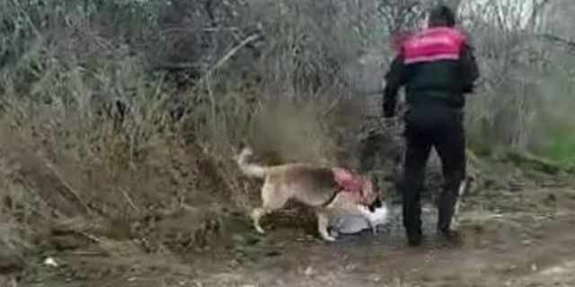 Amasya'da kaybolmuştu: Parçalanmış kemikleri bulundu