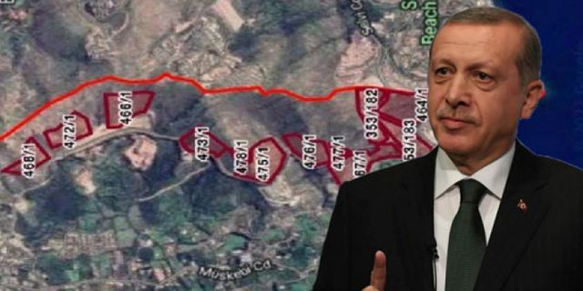 Danıştay’dan Erdoğan’a kötü haber