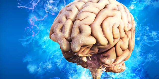 Bilim insanları beyin büyüklüğünün nedenini keşfetti! 'Cinsellik'