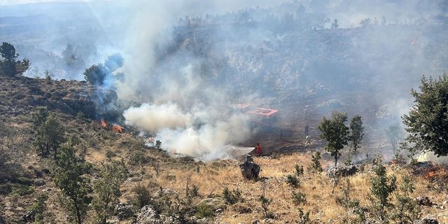 Mersin'in Gülnar ilçesinde orman yangını