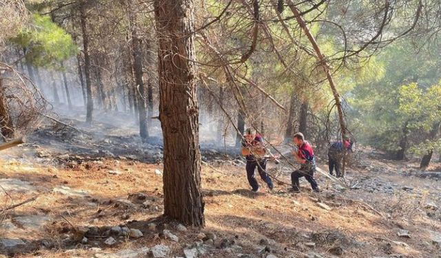 Adıyaman'da orman yangını!