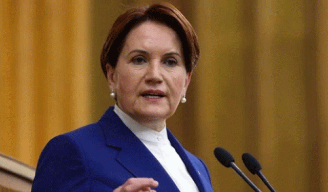 Akşener, partisinin 6 eğitim ilkesini açıkladı