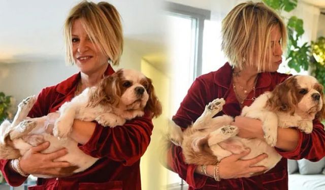 Ayşe Arman'ın köpeği Max pitbull saldırısına uğradı