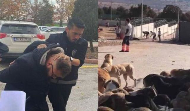 Barınakta köpeği kürekle öldüren iki kişi hakkındaki iddianame kabul edildi