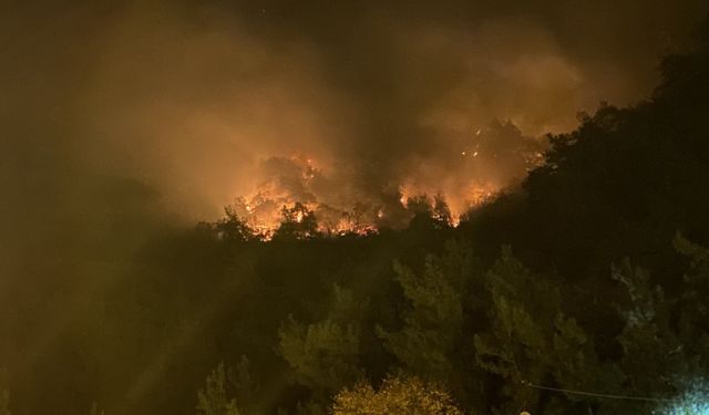 Bartın’da orman yangını meydana geldi! 4 kişi gözaltında