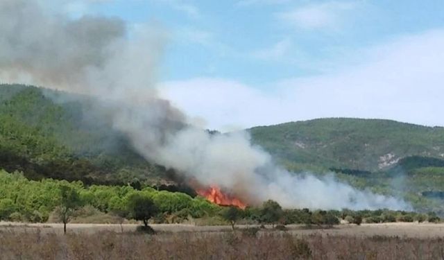 Çanakkale'de korkutan orman yangını!