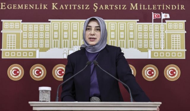 CHP’den Özlem Zengin’e destek: Erdoğan'ın önceliği koltuğunu korumak