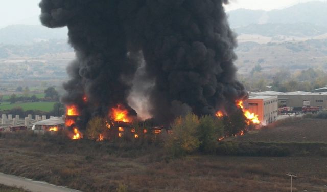 Denizli'de kimya fabrikasında yangın çıktı!