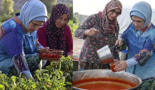 Emine Erdoğan tarlaya girdi domates topladı kışlık menemen yaptı!