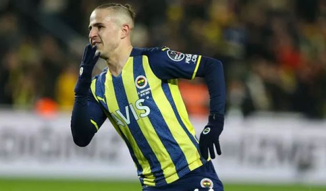 Fenerbahçe, Dimitris Pelkas'ın Hull City'e kiralandığını açıkladı