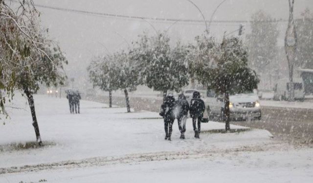 Hakkari'de kar nedeniyle 115 yerleşim yeri ulaşıma kapandı