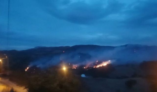 İzmir'deki orman yangını kontrol altına alındı