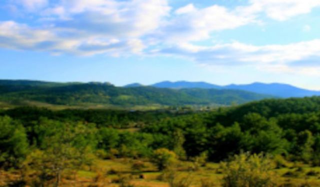 Karar iptali için açılan davalar sonuç verdi; Kazdağları yeşil kalacak