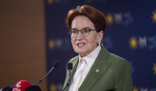 Meral Akşener'den bomba Erdoğan açıklaması!