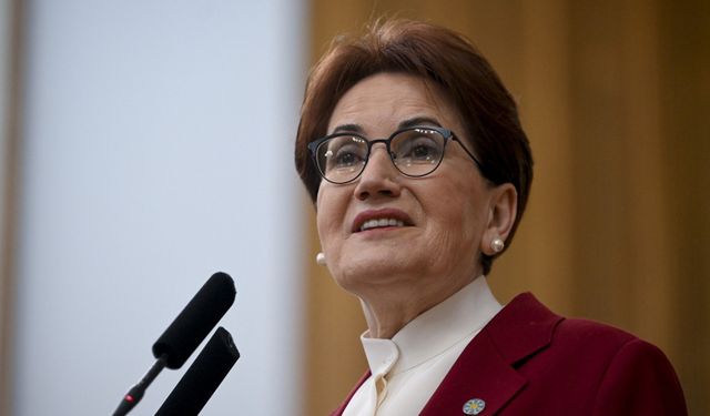 Meral Akşener'den Sinan Ateş tepkisi!